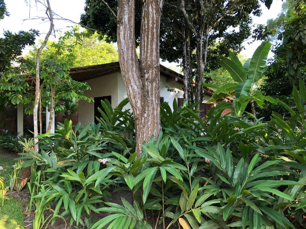 Casa Aracuã Trancoso Vila Exterior foto